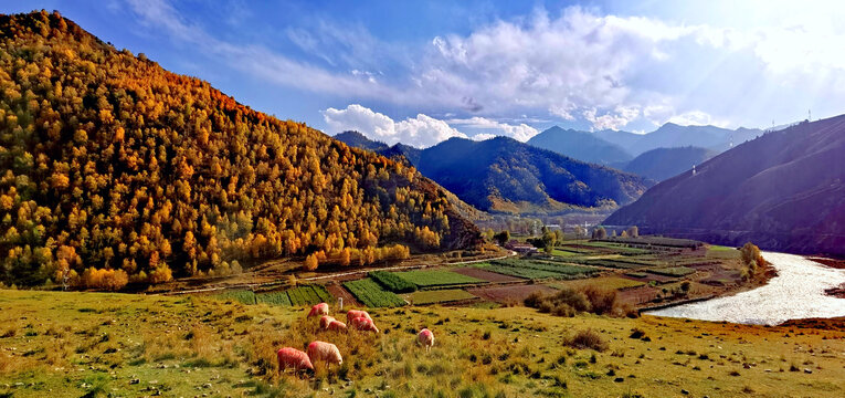 大山秋色