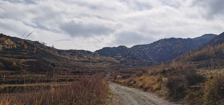 大山田野