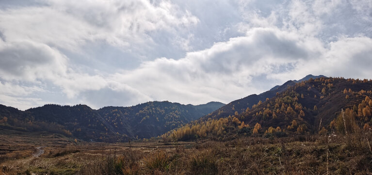 山村田野