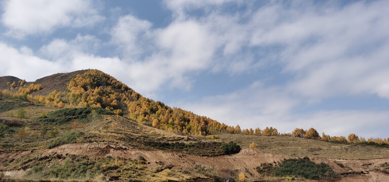 山村田野