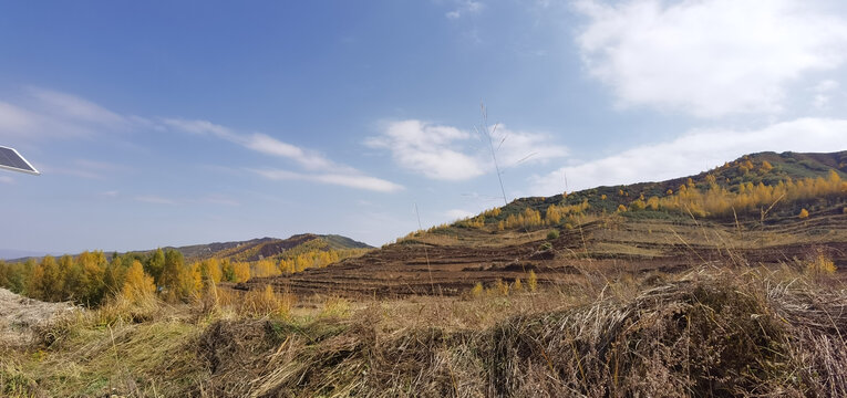 山野田地