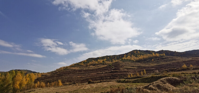 山野田地