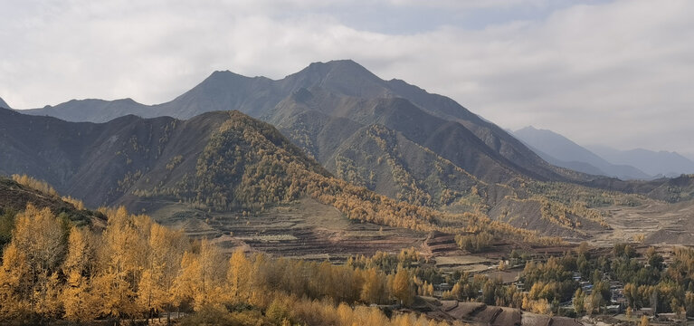 山野田地