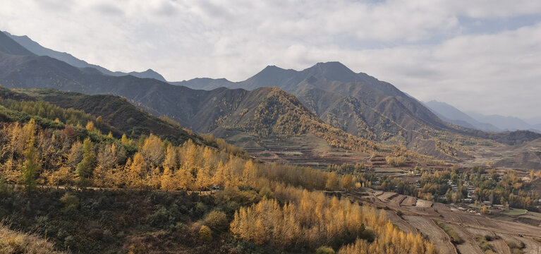 山野田地