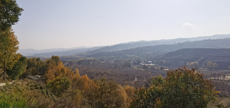 大山田野