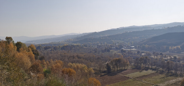 大山田野