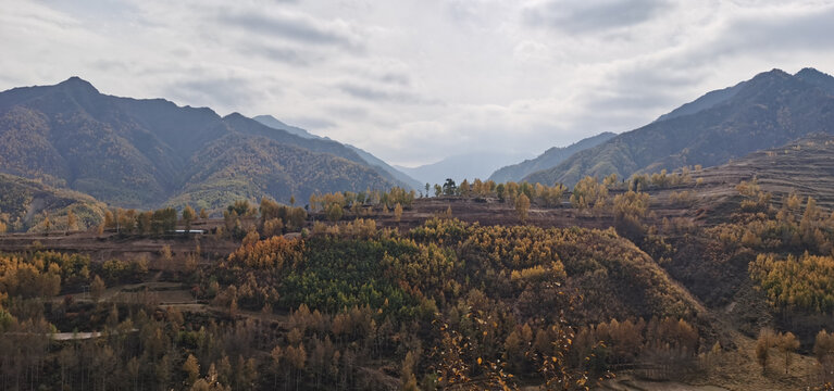 山村秋色