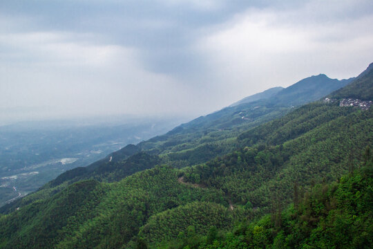 重庆茶山竹海