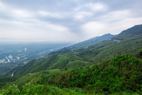 茶山竹海