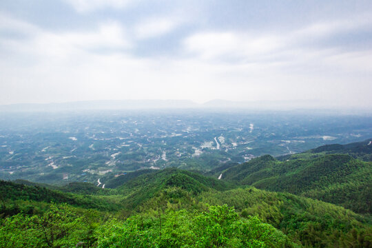 重庆茶山竹海