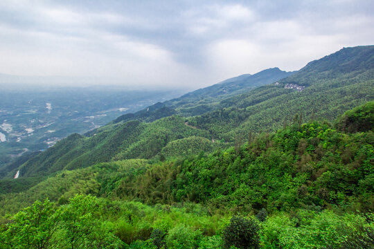 高山森林