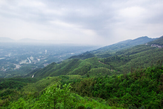 茶山珠海森林公园