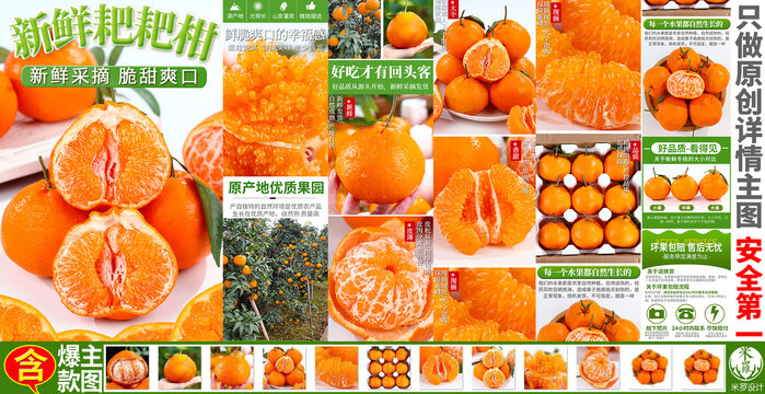 耙耙柑詳情頁主圖