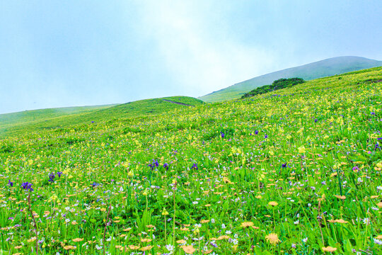 九顶山风景区