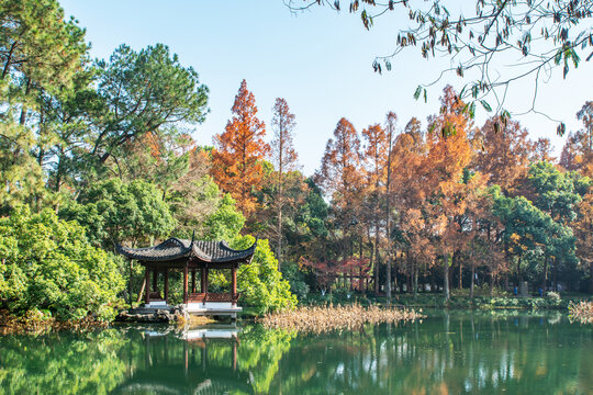 西湖秋景