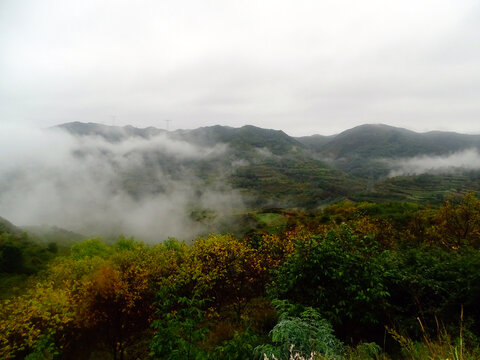 云雾山峰