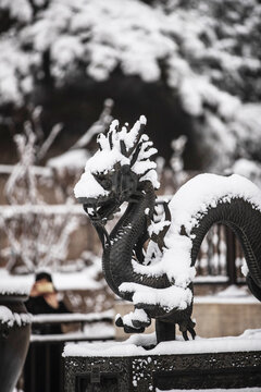 雪染园林