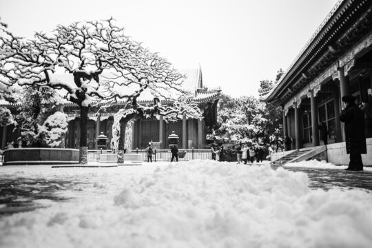 雪染园林