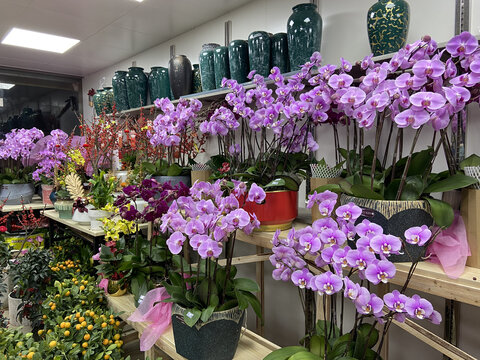 年宵花花店