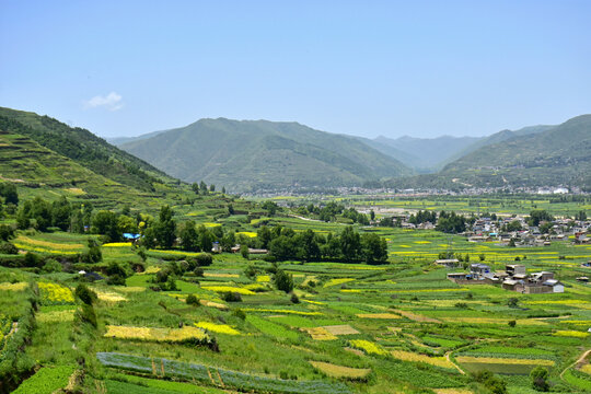 蓝天绿树新农村