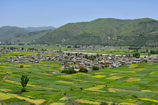 乡村夏日风光