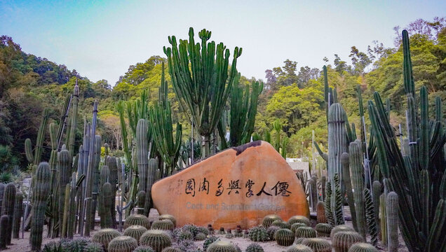 深圳仙湖植物园仙人掌与多肉园