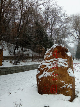 公园雪景