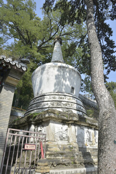 北京潭柘寺