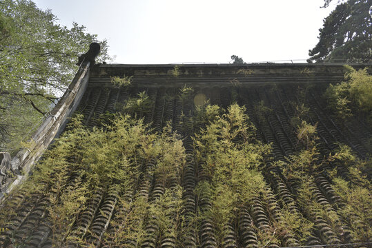 北京潭柘寺