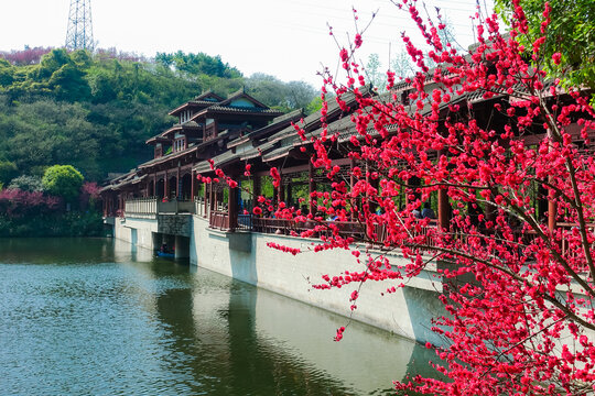 重庆城市风光