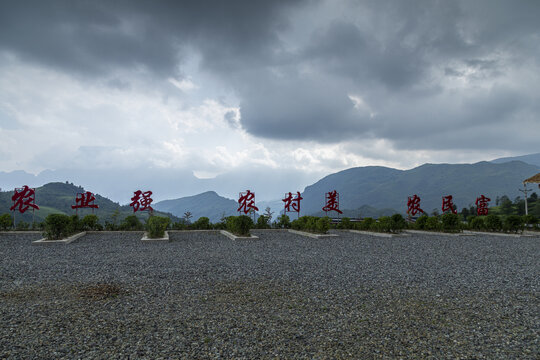 金口河川牛膝