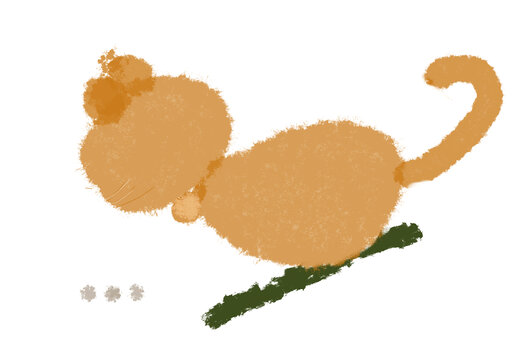 貓