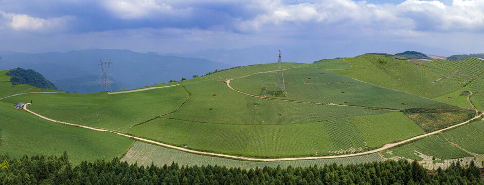 龙池高山蔬菜全景