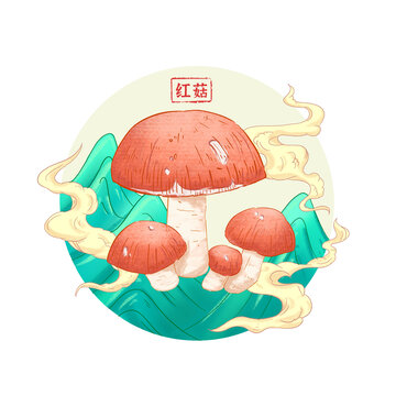 红菇插画