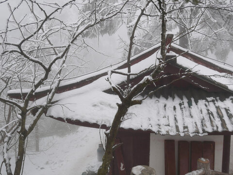 林中积雪屋顶