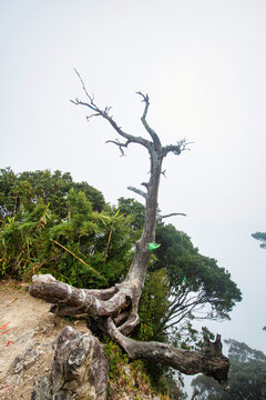 三亚天涯海角景区