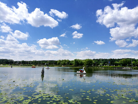 藍(lán)色荷花湖