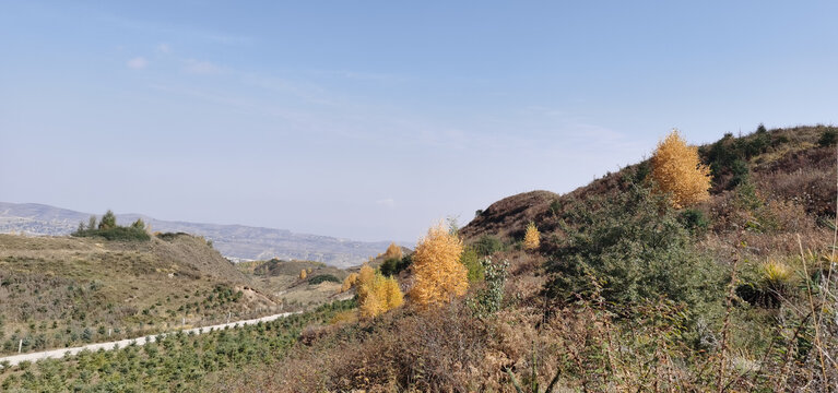 大山秋色