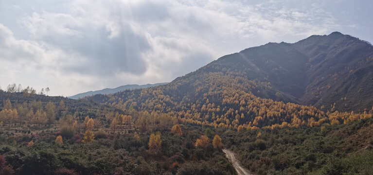 大山秋色