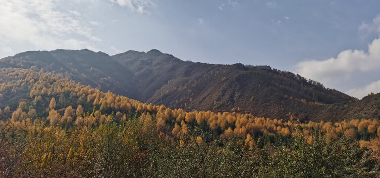 大山秋色