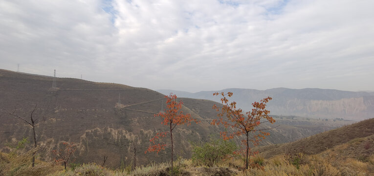 大山秋色