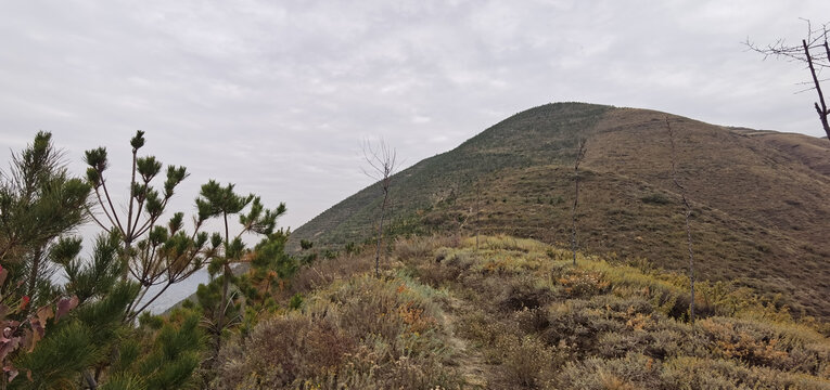 大山秋色