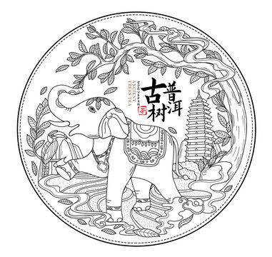 云南古樹(shù)普洱茶餅包裝插畫(huà)線(xiàn)稿