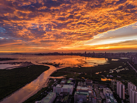 深圳南山区深圳湾大景