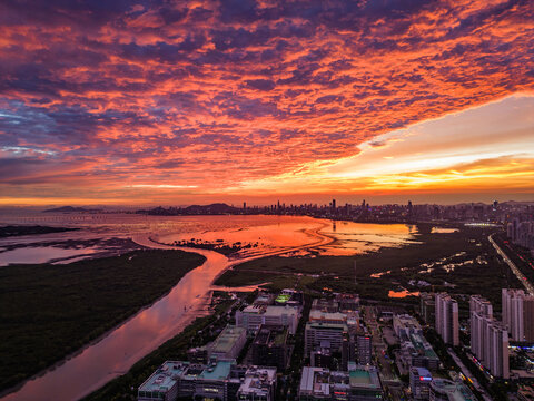 深圳南山区深圳湾大景