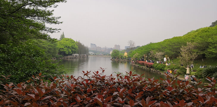 植物园湖景