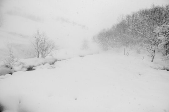 水墨长白山