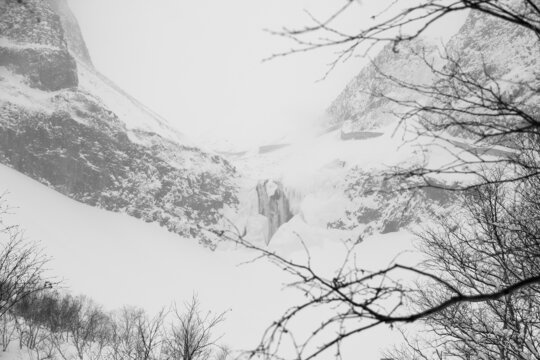 水墨长白