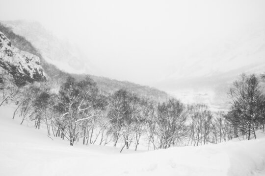 水墨长白山