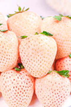 浅底上的淡雪草莓